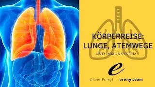Impulsmeditation K&ouml;rperreise: Lunge,  Atemwege und Immunsystem