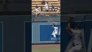 Andy Pages Great Catch! #Dodgers #Highlights #MLB