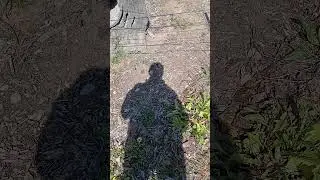 #Shadows, #Debunking, #yowie dan, #Shadow Language, #Yowie, @Predator, #Australia, #ONE 7,