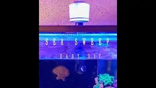 DIY Sea Sweep or Swirl (Easy Build)
