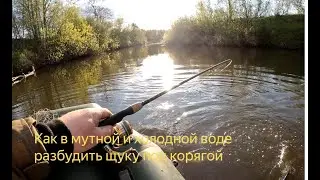 Воблер Zipbaits B-Switcher MDR Midget  и ОСОБЫЙ СПОСОБ ловли щук В БЕСКЛЕВЬЕ