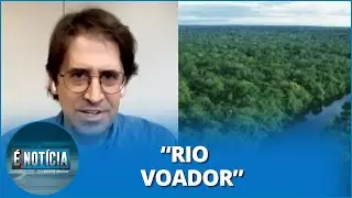 Tasso Azevedo: &ldquo;Floresta Amaz&ocirc;nica p&otilde;e na atmosfera 20 bilh&otilde;es de toneladas de &aacute;gua por dia&rdquo;