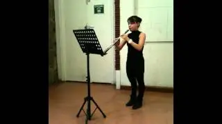 Haydn. Concierto en C para oboe y Orquesta- Andante.