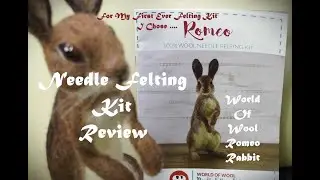 Needle Felting Kit Review/Romeo Rabbit World Of Wool/My First Kit Ever ! Wool Craft Kit ! Loved It !