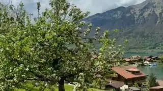 relaxing videos of nature| videos for lake lovers | nature lovers