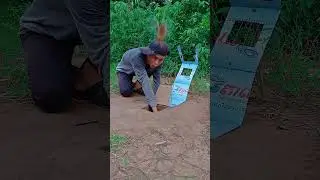 Smart quail trapping methods #shorts #trapping #quail #india