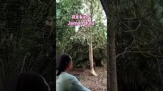 #punny #punnyshort #videoviral #comedy #lucu #ngakak #humor