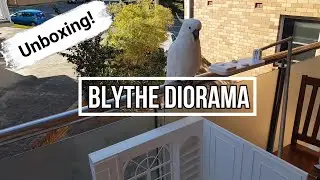Blythe Diorama Unboxing