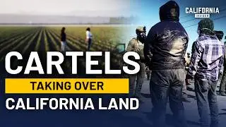 How Deep Is Cartel Influence in Northern California Farm Fields | William Honsal