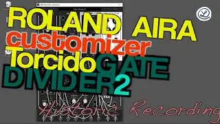 Roland AIRA Modular Customizer // GATE DIVIDER 2 // No Talking