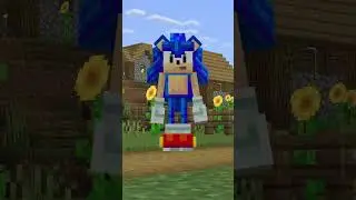 Sonic Add-On Official Short Trailer