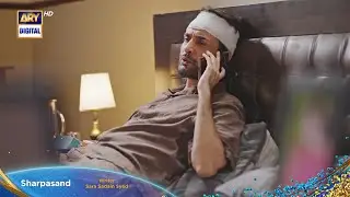 SharPasand Episode 35 Promo |SharPasand Episode 34 | SharPasand Episode 35 Teaser