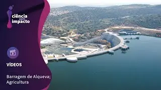 Alqueva promove agricultura intensiva