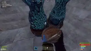Rust - Duo eco-raid big base top server rustoria sea main