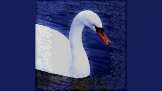 Swansong