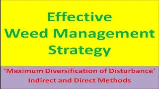 Effective Weed Management Strategy
