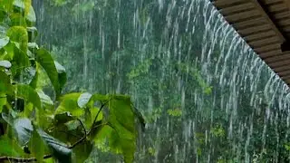 Natural rain sound, relief stress, restoring feeling back, sleep well,relaxing |Rain Best Relaxation