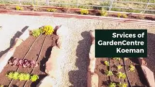 Garden Centre Koeman Review