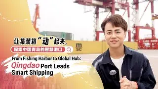 From fishing harbor to global hub: Qingdao Port leads smart shipping