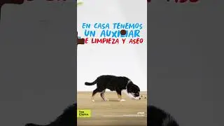 T&uacute; te encargas de servirle su #TopChoice