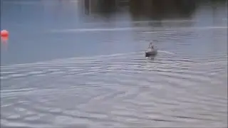 10 Schippern im S&uuml;den Mandichosee Teil 4