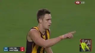 AFL 2013: Round 12 - Hawthorn highlights vs. Carlton