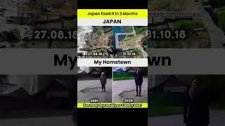 Japan Builds a Bridge in 2 Months While My City Can&rsquo;t Fix a Pothole in 24 YEARS! 😮🛣️🇯🇵