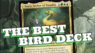 Choco actually BREAKS BIRDS! 