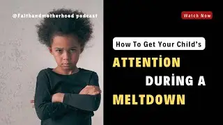 How to Handle Big Emotions and Meltdowns | Godly Parenting Tips for Toddlers