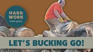 Let’s Bucking Go! Conquering Logs with a Chainsaw to Make Firewood Rounds