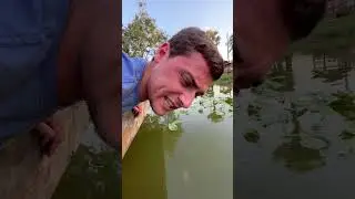 WHEN THE POND MONSTER BITES YOU