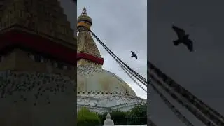 #kathmandu #kathmandunepal #kathmanduvlog #kathmandutour #nepal #nepalivlog #nepaltour #traveling