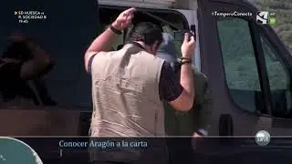 TEMPERO, ARAGÓN TELEVISIÓN