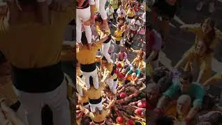 Castells of Barcelona: Human Towers that Defy Gravity #shorts #travel