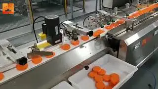 JH-Z1230 fully automatic pillow packing machine Flow packing machine for Gum Rolls