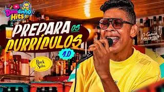 ROCK SALLES VER&Atilde;O 2026 - MUSICAS NOVAS PRA BATER NO PARED&Atilde;O