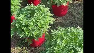 đã bao năm . nắm được trọn kỉ thuật của e.cũng chỉ là ẩn số. chỉ có những ae chí cốt mới biết thôi…