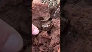 Imagine That Old Clock Sounding Off? #shorts #metaldetecting #history #treasure