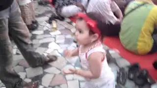 12062010001