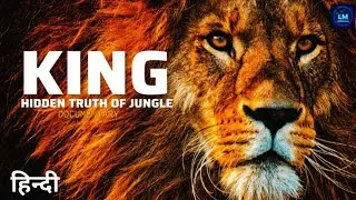 Lion Documentary in Hindi | Rare Lion Facts  | शेर का जीवन | Habitat और Hunting #nature #wildlife