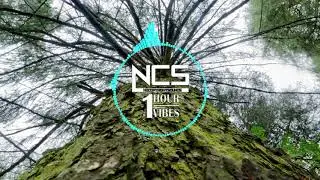 Disfigure - Blank (HYLO Remix) [ NCS 1 HOUR ]