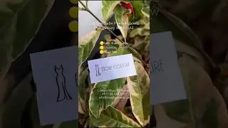 Custom Printed Satin Labels Dubai UAE|Satin Fabric Labels for Clothes