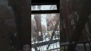 Not to bad all that talk. It&rsquo;s a regular snow day here in Brooklyn it&rsquo;s cold though ￼#brooklyn #snow