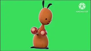 Flop plays with maracas