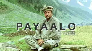 PAYAALO | Shepherd's Life | Shina Song | Gilgit Baltistan