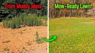 Complete Yard Transformation in Just 3 Days | From Muddy Mess to Mow-Ready Lawn