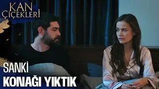 Dilan'ın, Baran'ı Uyandırma Çabaları  - Kan Çiçekleri