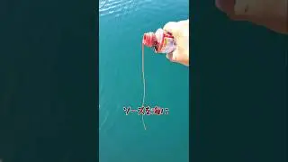 濃厚ソースを海に流すと大変なことになった！