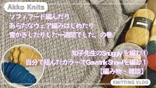 【編み物・雑談】Snuggly を編む① Gavstrik Shawlを編む①　雪かきとソフィフードと新たなウェアCOな一週間でした、の巻