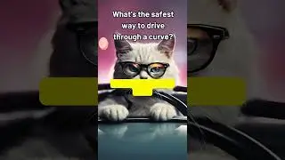 What's the safest way to drive through a curve? #roadsafety #roadsafetytips #quizchallenge #safety